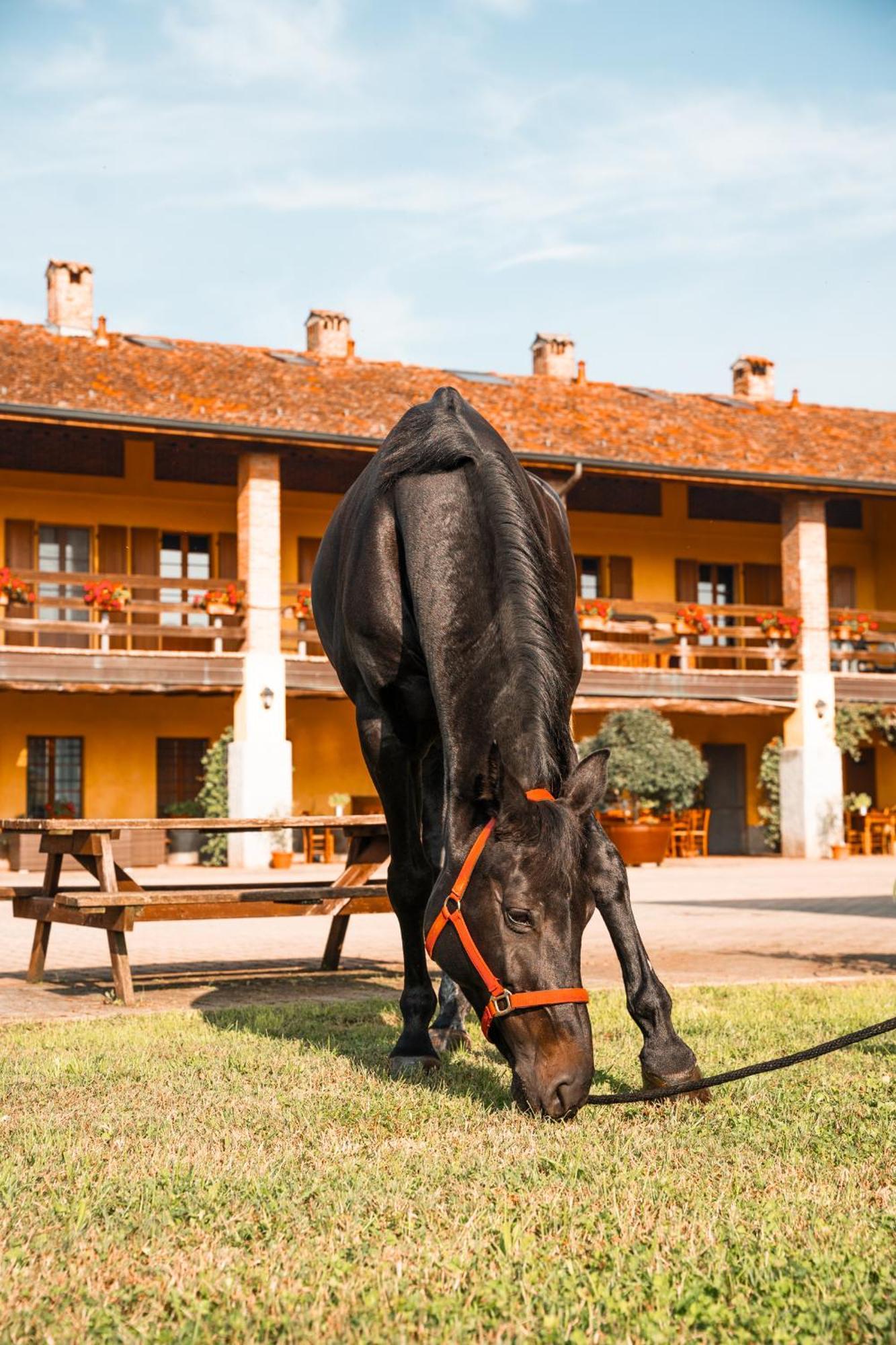 Agriturismo Bassanella تريفيغليو المظهر الخارجي الصورة